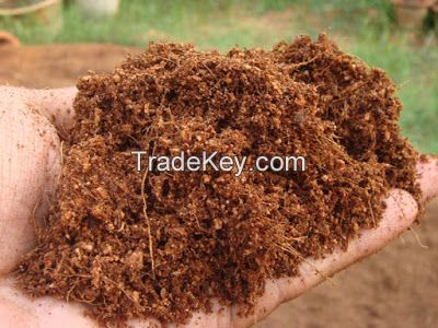 Vietnam Coco peat