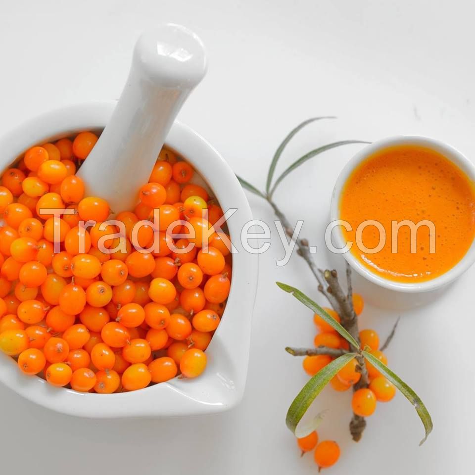 Sea Buckthorn