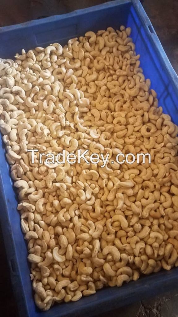 Cashew Nuts Kernels