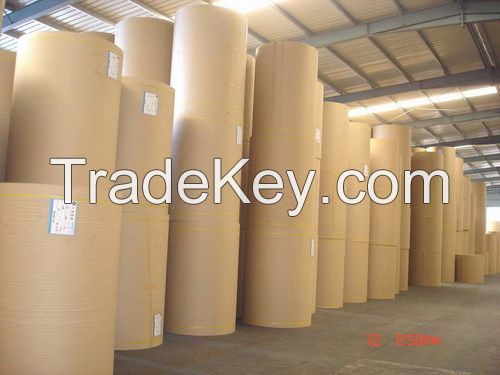 Kraft Paper Rolls