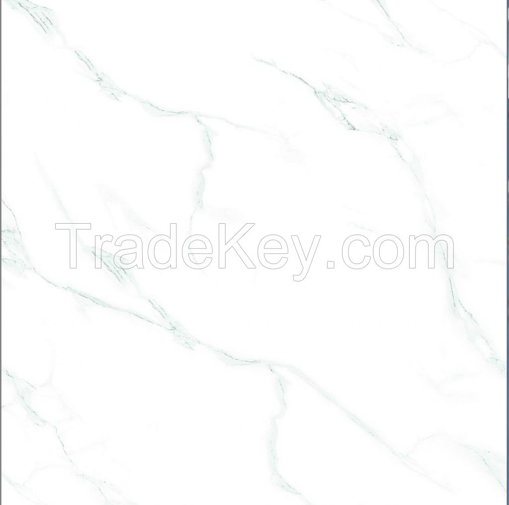 50X50 glossy tile