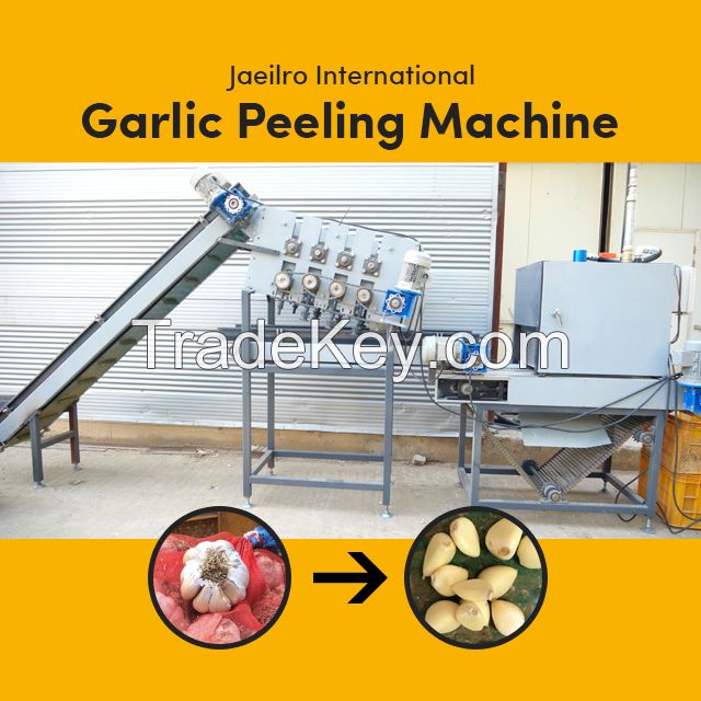 Automated Dry Garlic Peeling Machine - Economy System (With Root)