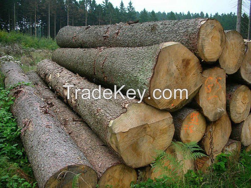 Logs of woods (timber)