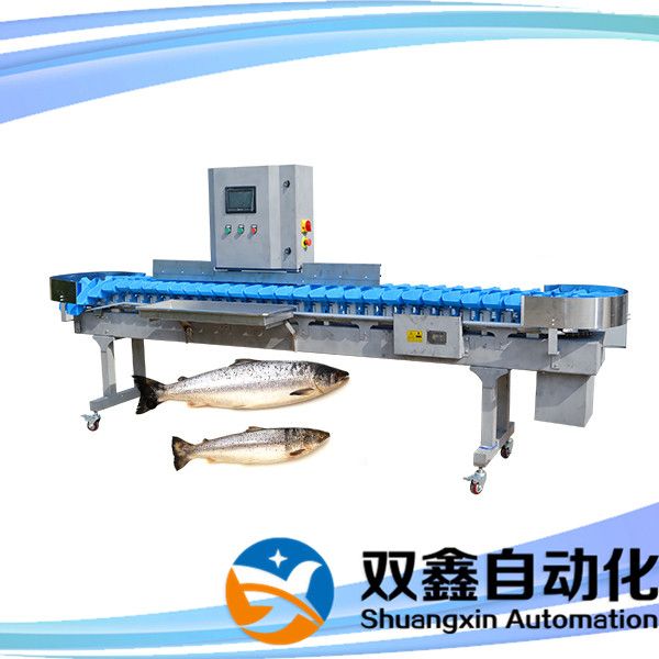 Fish sorting machine By Laizhou Shuangxin automation equipment coltd