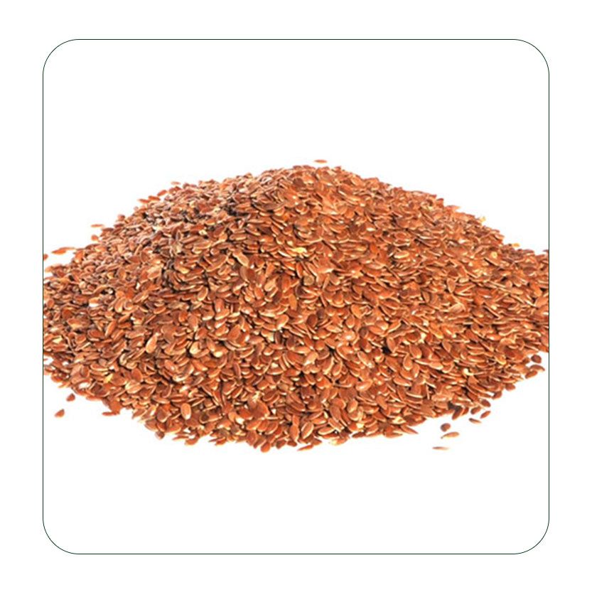 Organic Flax Seeds Manufacturer