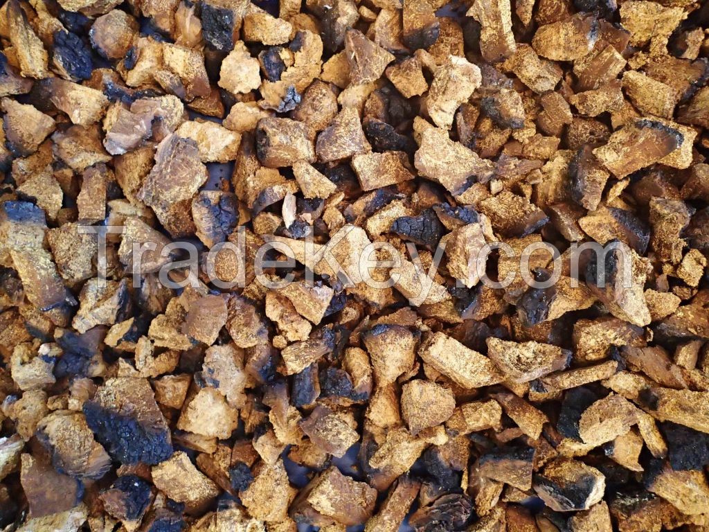 Alaskan Chaga Chunks