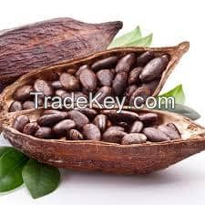 Cocoa Beans