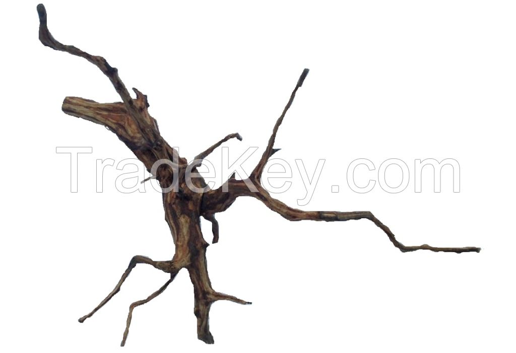 Aquarium Aquascape Roots Spiderwood Decoration Also For Terrarium, Reptiles, Vivarium