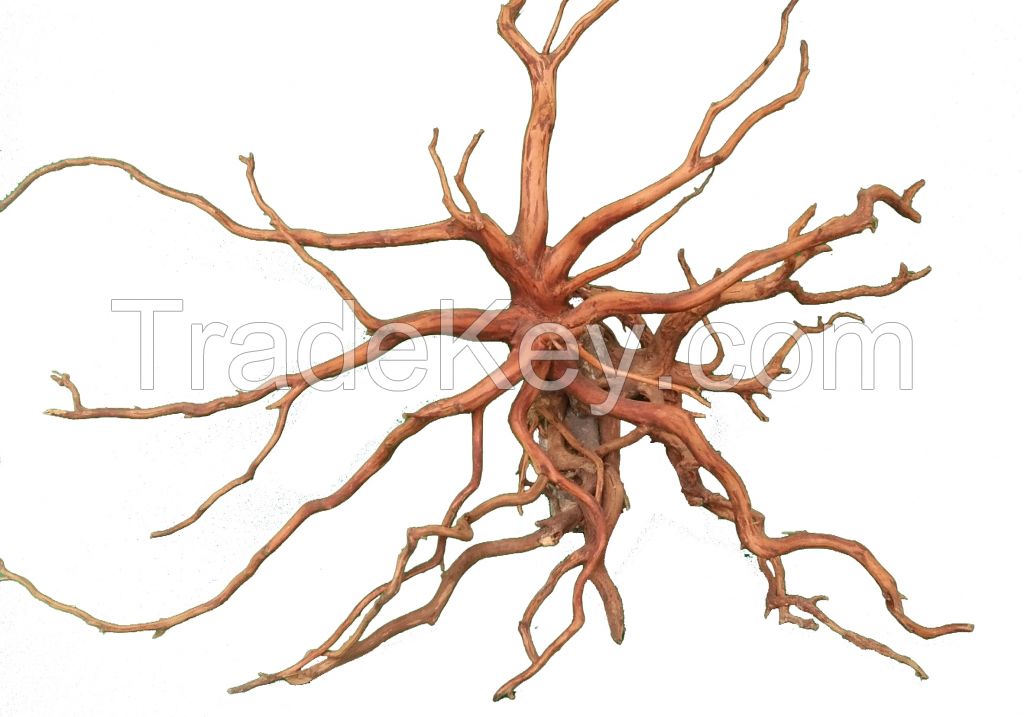 Aquarium aquascape Roots Spiderwood decoration also for terrarium, reptiles, vivarium