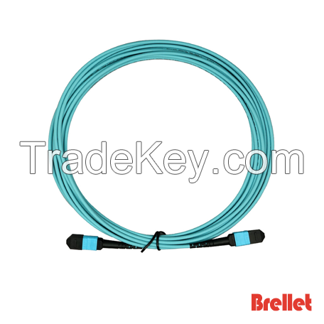 MPO/MTP Trunk Optical Patch Cord Brellet