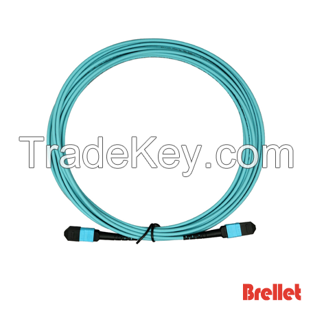 Mpo/mtp Trunk Optical Patch Cord Brellet