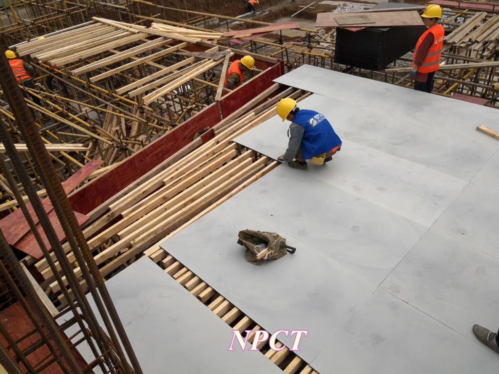 Factory Price Convenient Reusable Aluminum Construction Formwork for Concrete Casting NPCT