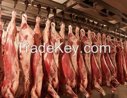 Beef Half-Carcasses And Quarters Deep Freeze