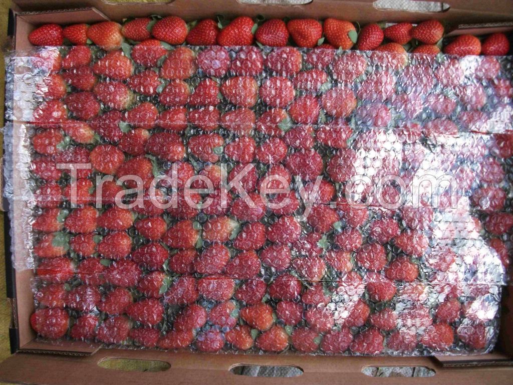 Fresh Strawberry