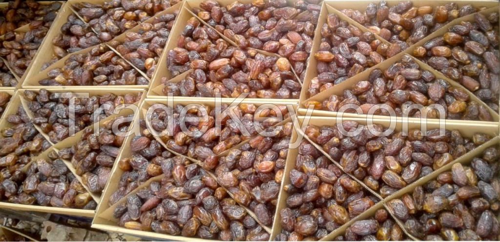 Semi Dry Dates ( Majdoul )