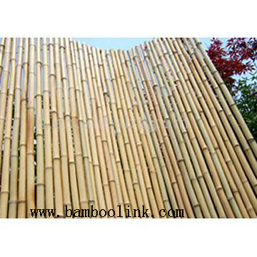 bamboo fencing bamboo edging