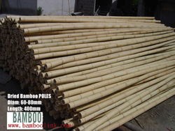 bamboo pole bamboo stick bamboo cane