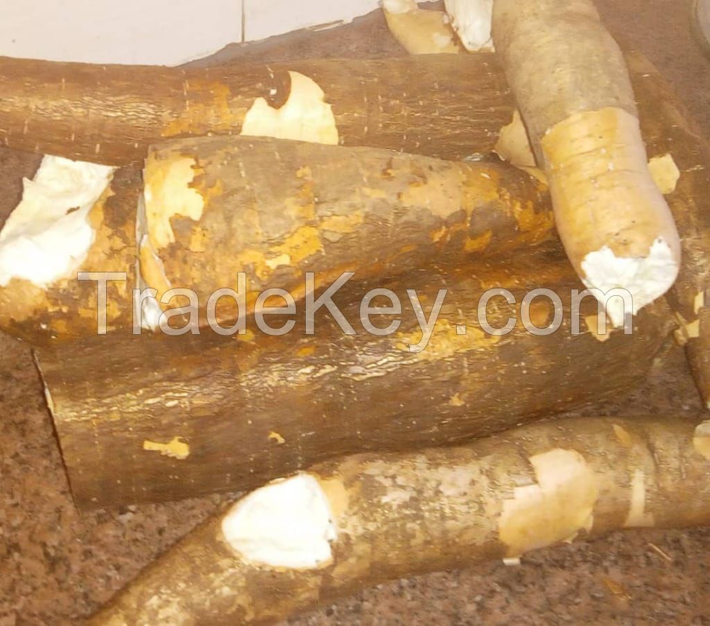 Raw Cassava