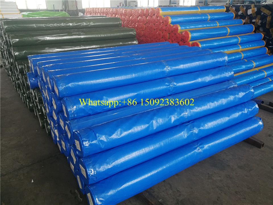 PE Tarpaulin to Bangladesh blue and orange tarpaulin roll