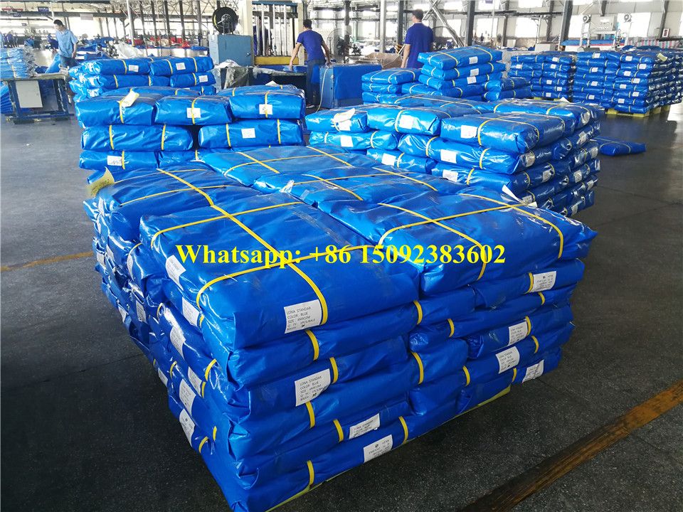 PE tarpaulin waterproof covers coated fabric blue/white 4x5m