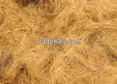 Short Coconut Fibre