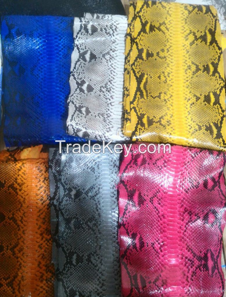 Genuine Leather of Python