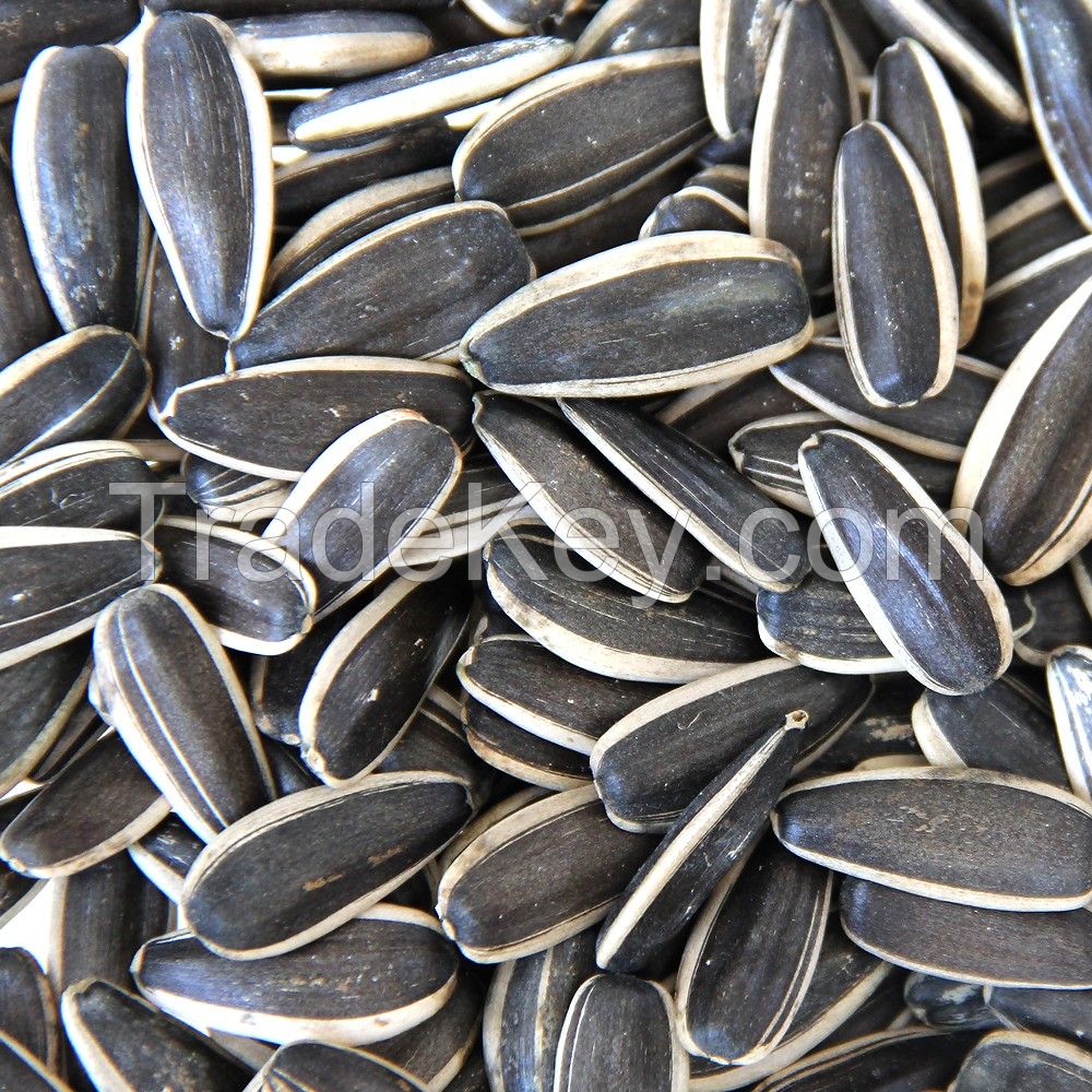 Black Sunflower Seed Kernels Supplier Long Shape 99.9% Min 10% Max Premium Grade from ZA Dried Raw COMMON Cultivation