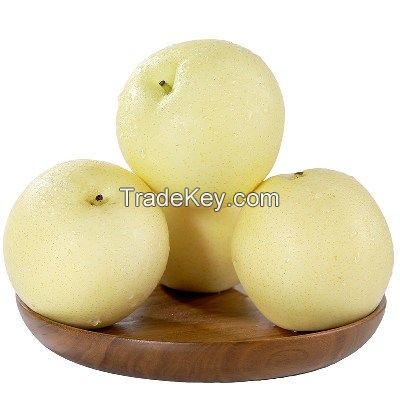 supplier supply export Pears for sale
