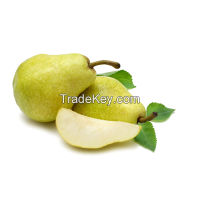 supplier supply export Pears for sale