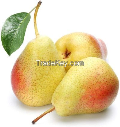 supplier supply export Pears for sale