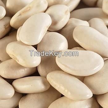 The Newest Crop White Kidney Beans, Buyers of Soya Beans, Different Types Dried Beans