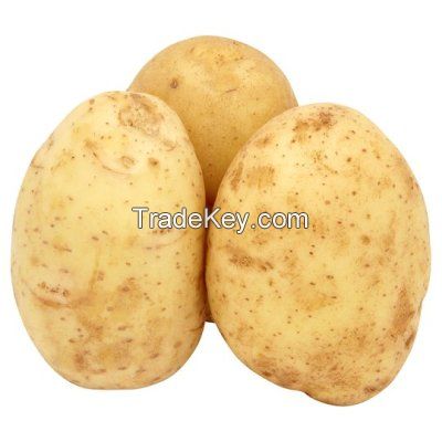 Potatoes for sale