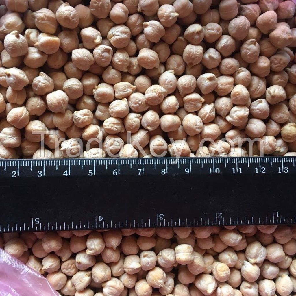 Kabuli Chickpeas 9mm 10mm 12mm