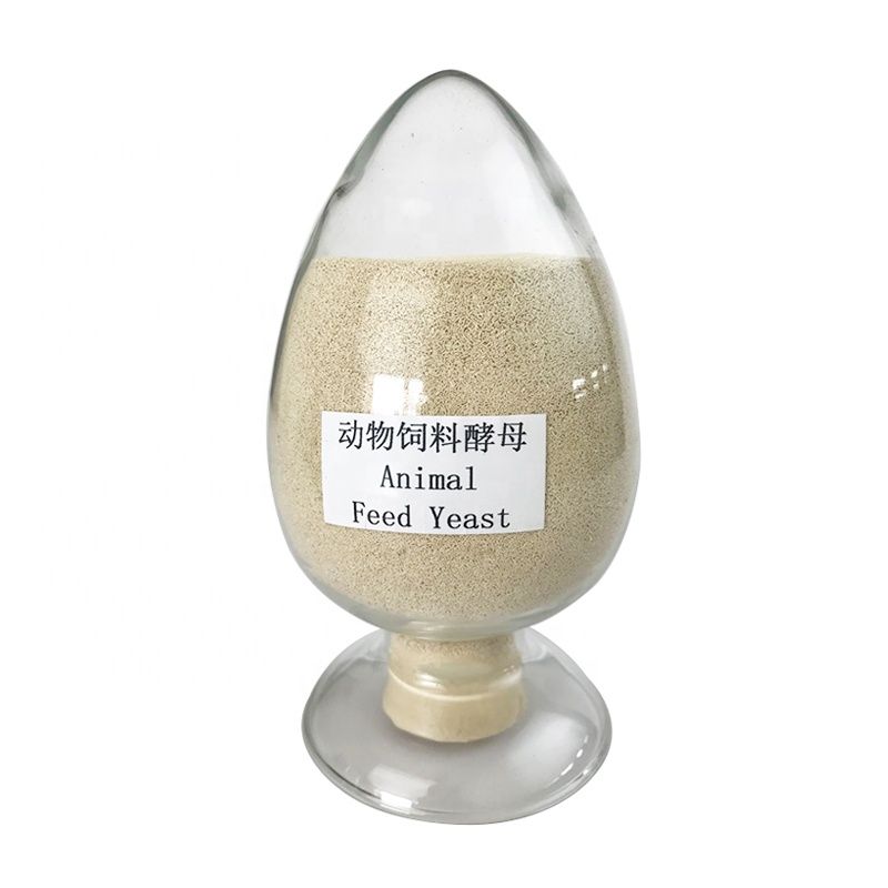 Factory provided Animal feed additives of active feed yeast