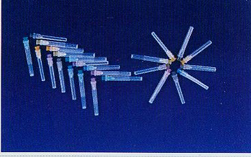 disposable syringe