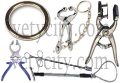 Quality maker of veterinary instruments