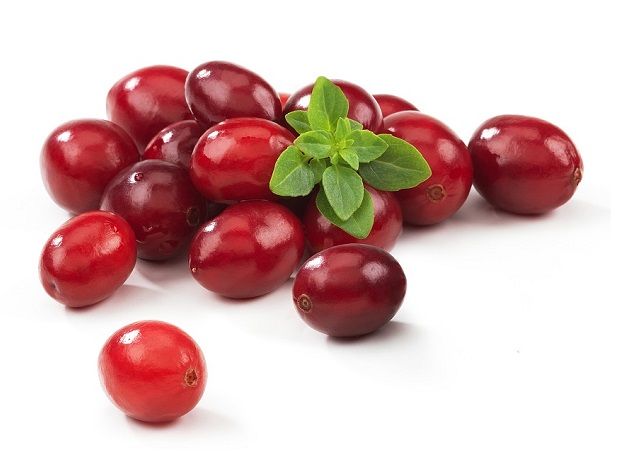 Cranberry Extract