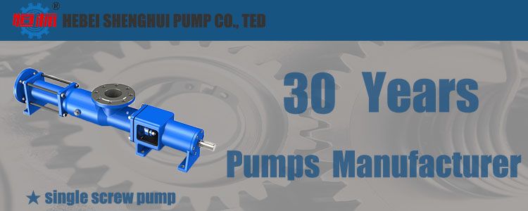 G-Type single-screw pump