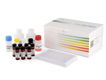 ROC-F-AR021K Streptomycin ELISA Test Kit