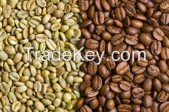 Premium Uganda Robusta Coffee