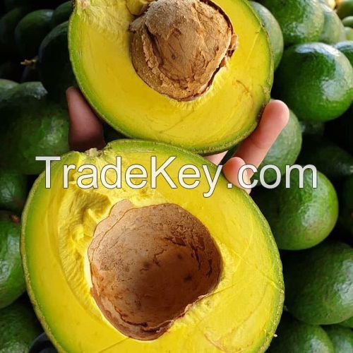 Fresh Avocado Fruit 034/ Booth/ Hass/ Wax