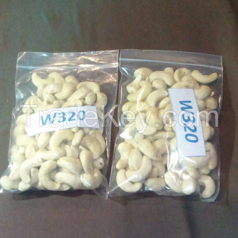 Cashew Nuts Vietnam W240 W320 W450