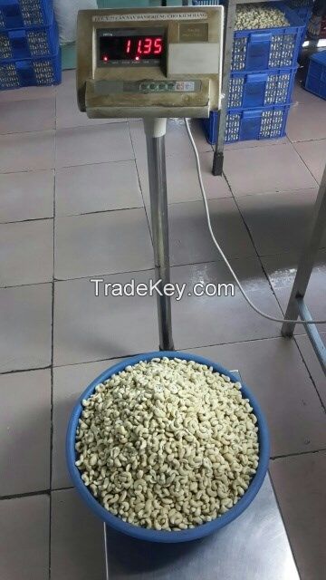 Cashew Nuts Vietnam W240 W320 W450
