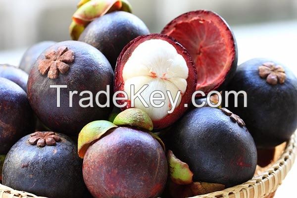 Fresh Mangosteen Fruit From Vietnam
