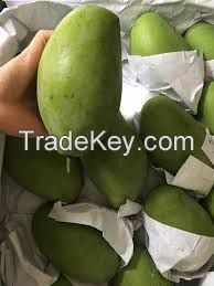 Fresh Mangos From Vietnam