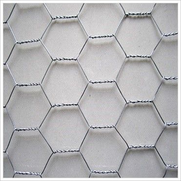 Hexagonal wire mesh