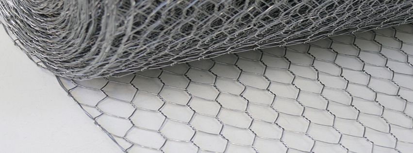 Hexagonal wire mesh