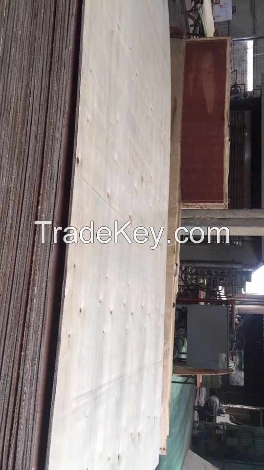 Plywood for packing industry