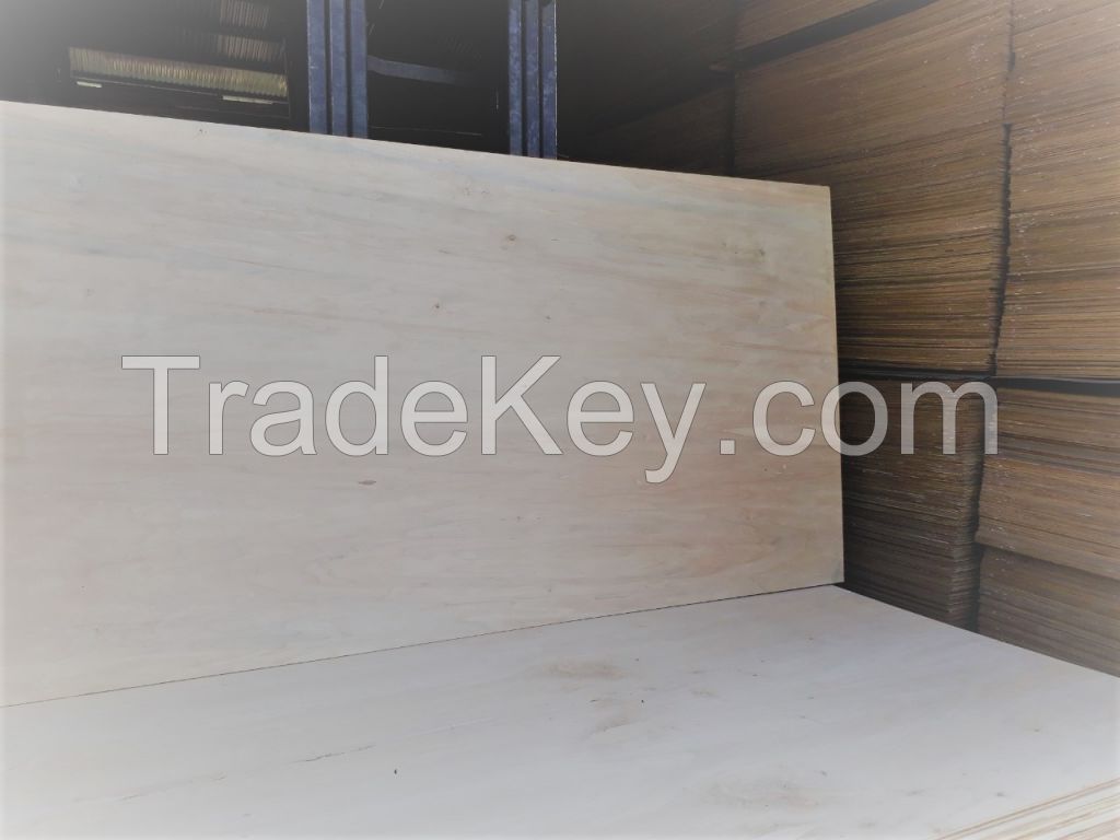 Supply Poplar plywood combi core