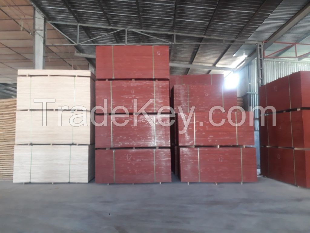 VIETNAM PLYWOOD, BINTANGOR AND OKUME FACE AND BACK